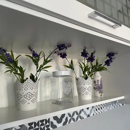 Apartment Wroclawia